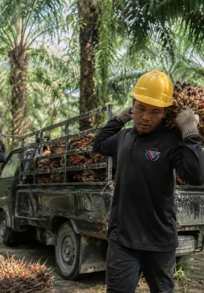 Dokumentasi pekerja sawit